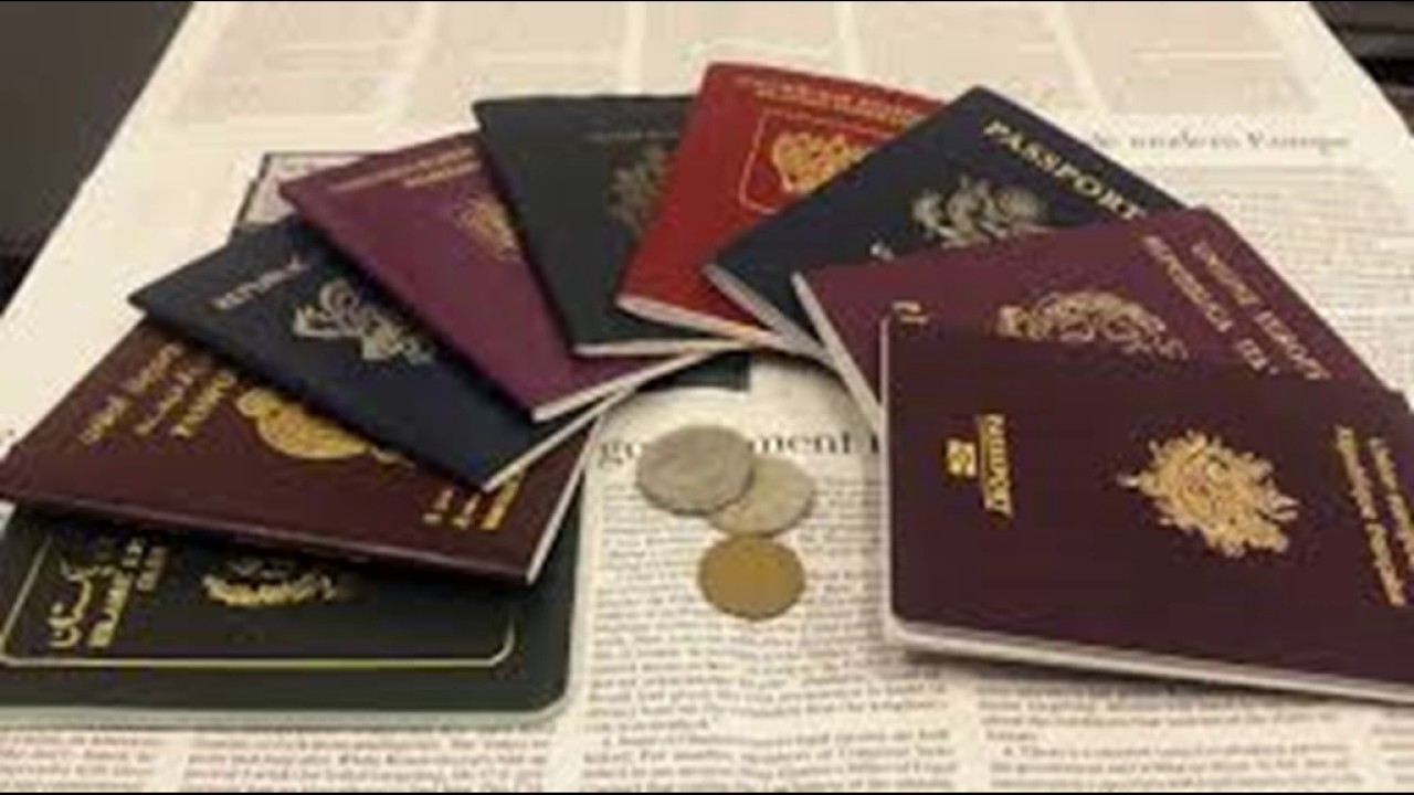 Immigration Law 