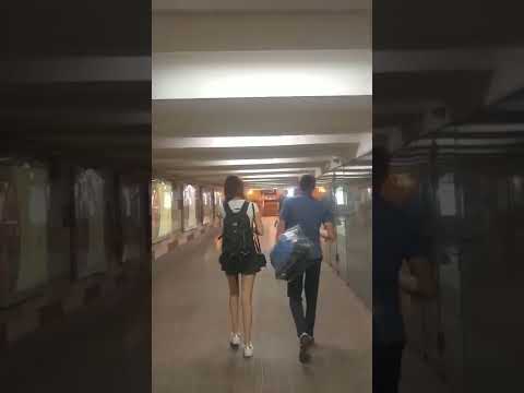 Video: Metro Domodedovskaya ở Moscow