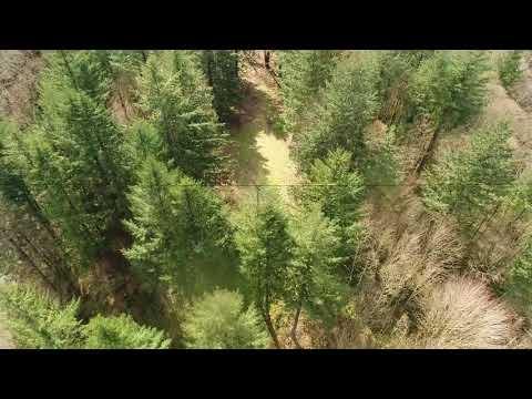 9625 NW Lightning Ridge Dr, Portland, OR home video tour