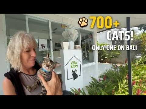 Inside Bali’s ONLY Cat Sanctuary (700+ Rescues!)