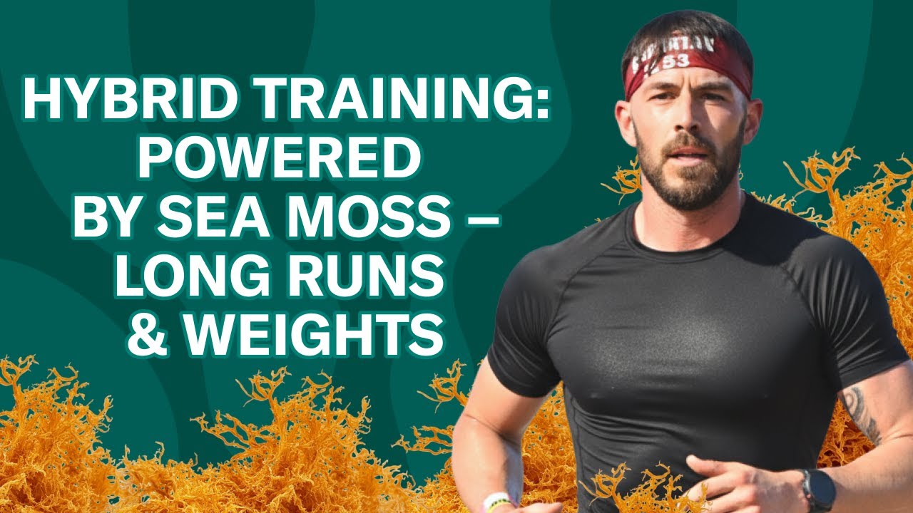 Hybrid Training. Powered by SEA MOSS: Long Runs and Weights