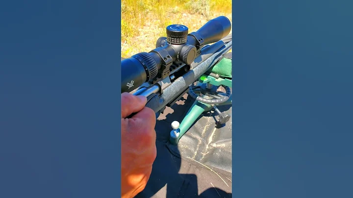 Savage Axis Pro 2 vs Ruger American Gen 2