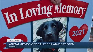 ‘Abuse equals abuse:’ Protect MI Pet rallies in Lansing for animal justice