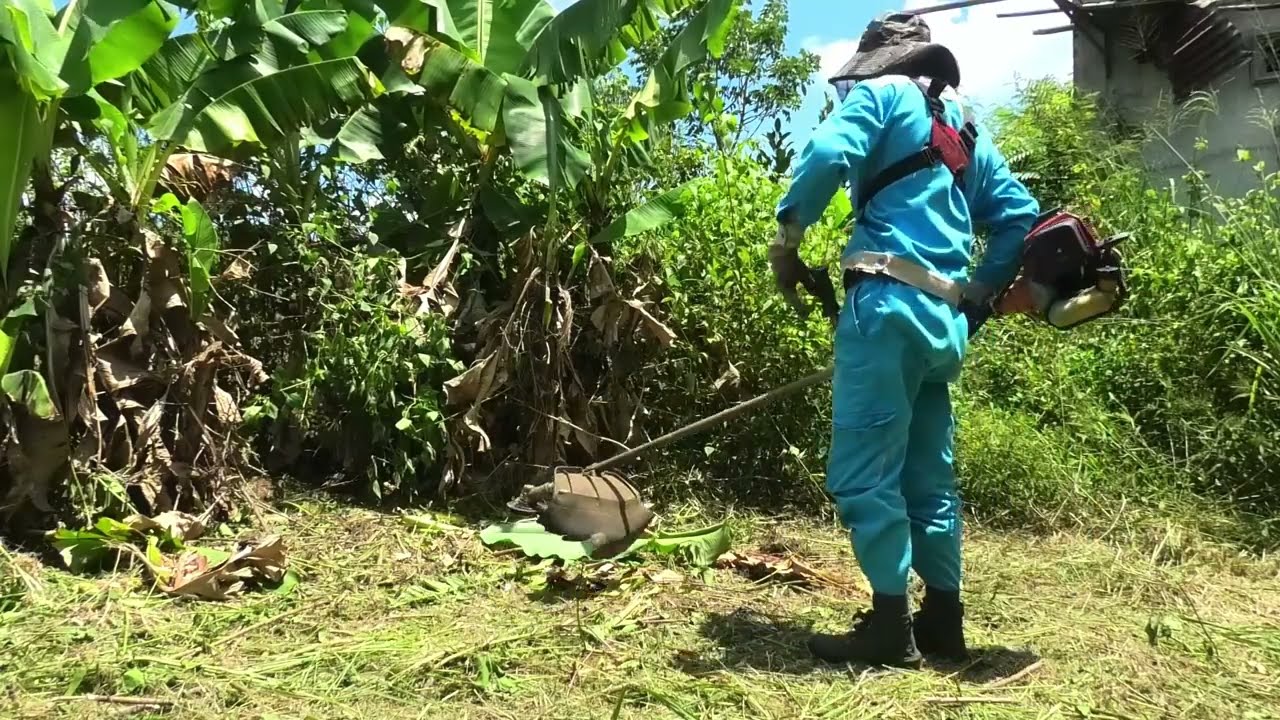 Clean Up Abandoned House | Brave Hunter Tracks Down A Giant Python In The Thicket - Animal Rescue