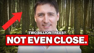 Two billion trees? Not even close.
