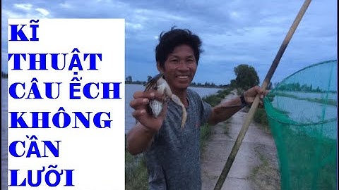 HƯỚNG DẪN KĨ THUẬT CÂU ẾCH KHÔNG CẦN LƯỠI MÙA NƯỚC LŨ Ở MIỀN TÂY