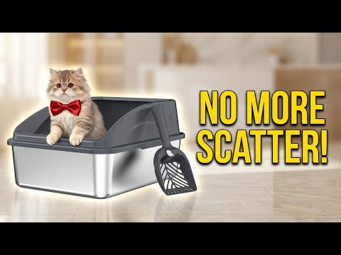Video thumbnail: AIPERRO Stainless Steel Litter Box Review: Built for Small Cats and Easy Cleaning
