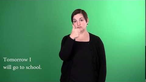 Sign Language - Level 1: Past, Present and Future Tenses Using Time Signs