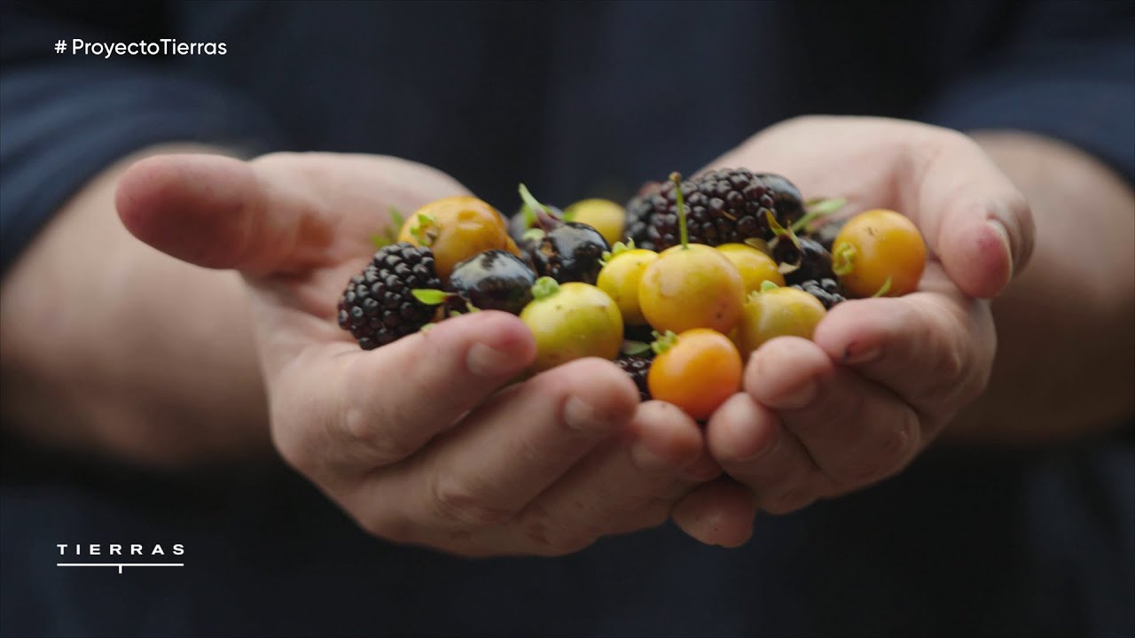 Episodio 05: Misiones | PROYECTO TIERRAS 4ta temporada