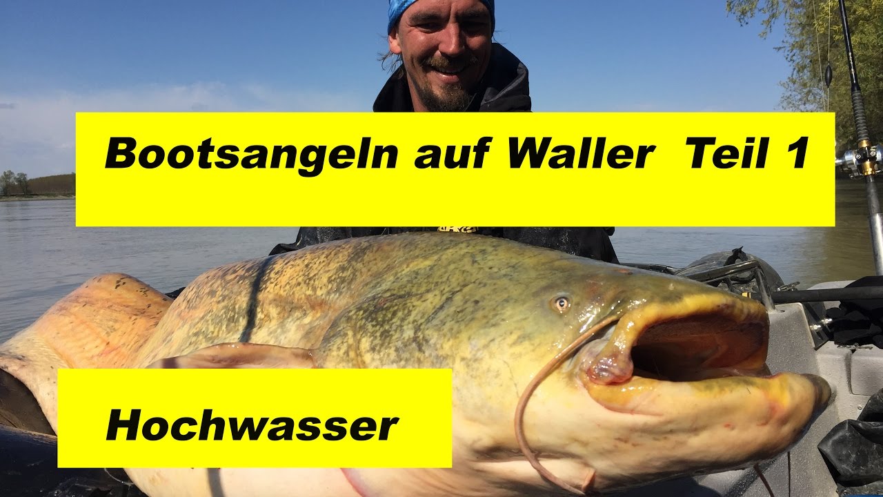 Bootsangeln auf Waller Teil 1 (Schlauchboot, Hochwasser,Ausleger, Reißleine)by Stefan Seuß