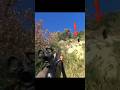 поток диких кабанов отличная охота#chasse#deerhunting#challenge#youtubeshorts#shorts