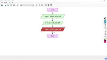 Programlama öğren, Python, Flowchart, Flowgorithm