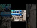 Itbs in motion #shorts #shortsfeed #shortvideo