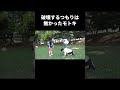 破壊するつもりは無かったモトキ #フィッシャーズ