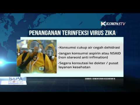 Kenali Virus Zika Lebih Dalam