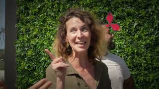 Sidaps A Réouvert - Cest Incroyable