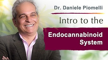 An Introduction to the Endocannabinoid System