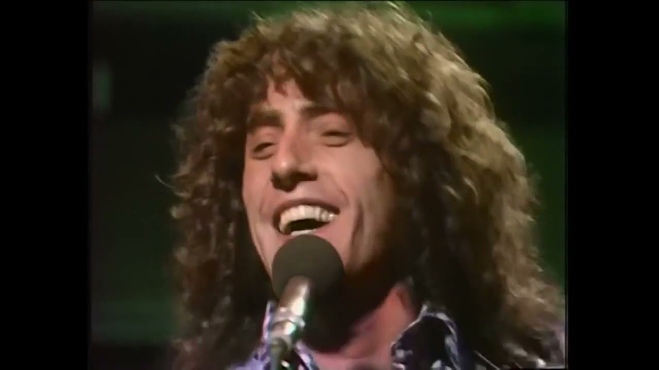 Daltrey Roger ロジャーダルトリー 70s バンドT プロモ用 - Sサイズ 