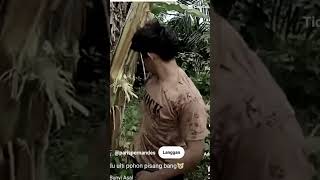 Download Lagu Masi ingat ini salam dari binjai MP3