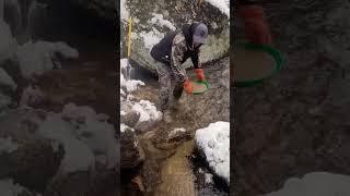 New Idaho Gold Claim! Test Pan #3.