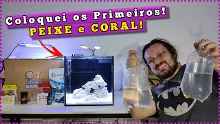 Coloquei o Primeiro PEIXE e CORAL no Aquário Marinho de INICIANTES!