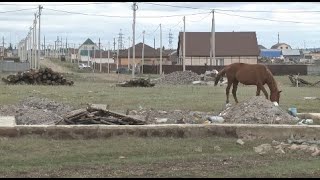 Без воды, дорог и автобусов живут в селе близ Кокшетау