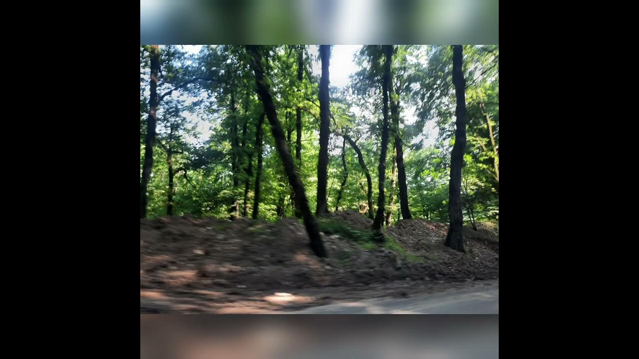 The beautiful nature of Dalkhani forest - YouTube