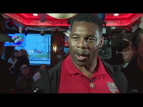 Georgia Senate runoff sends voters to polls - YouTube