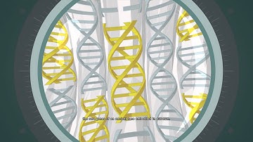 Assassins Ceed Unity : The Phoenix Project  By Abstergo Industries