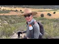 PCT CA Section A Hike 1 - Southern Terminus to Lake Morena