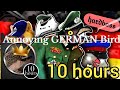 Annoying GERMAN Bird 10 hours