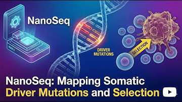 The Secret War Inside Your Cells