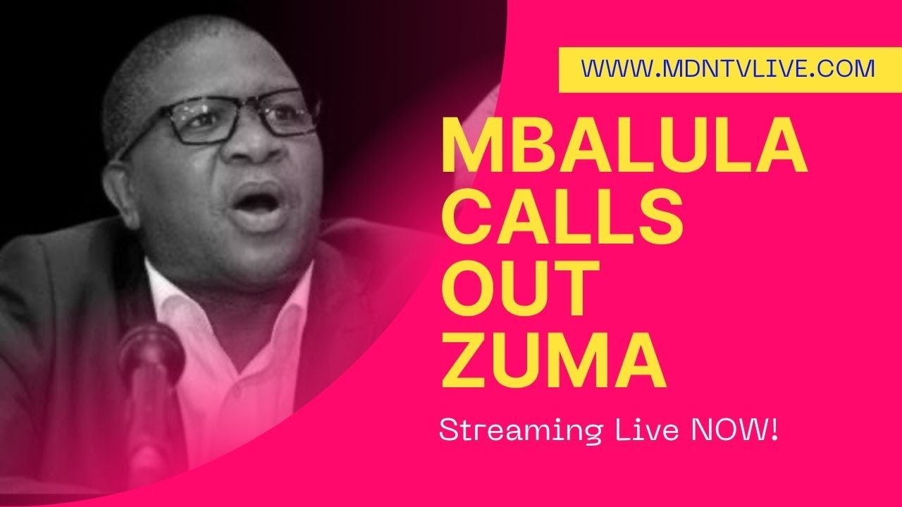 MK Party vs ANC uMkhonto we Sizwe Ownership Battle