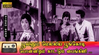பூவினும் மெல்லிய பூங்கொடி பாடல் HD | ஜெய்ஷ்ங்கர், லட்சுமி இனிமையான காதல் பாடல் .