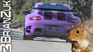 Porsche Turbo Hits Squirrel at 100mph