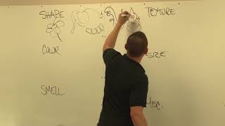 Morph Chart Brainstorming