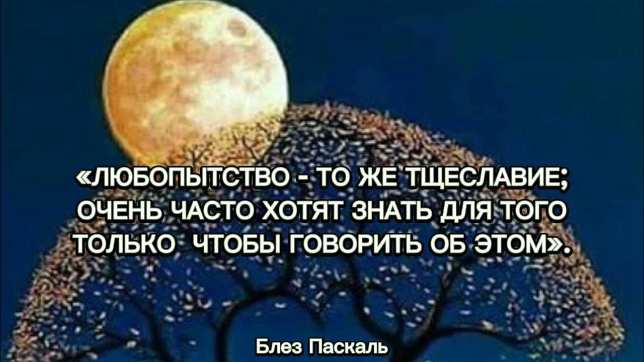 Красивые цитаты о переменах в жизни. Изменить жизнь цитаты. Мотивация цитаты. Пауло коэльо цитаты. Цитаты которые пригодятся в жизни.