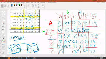 Phylogenetic Tree Algorithms.v182