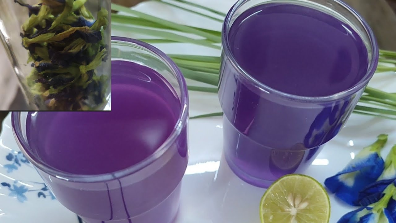 Purple Tea Butterfly Pea Tea Sangu Poo Lemon Tea Best Collagen Drink Clitoria Terna Tea