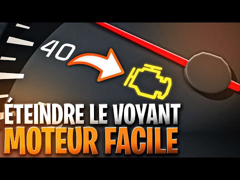 Vidéo: D'où vient le scudo ?