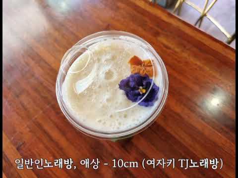 일반인노래방, 애상 - 10cm (여자키 TJ노래방)