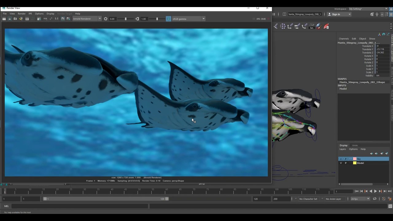 Manta Stingray Rig Model - YouTube