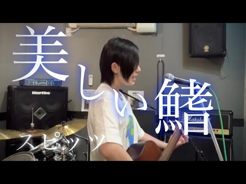 【美しい鰭/スピッツ】ギター弾き語り(カバー:歌乃)歌ってみた sing with a guitar(covered by Kano)Me singing