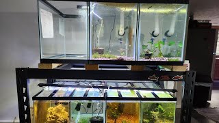 Fish Room May Update!