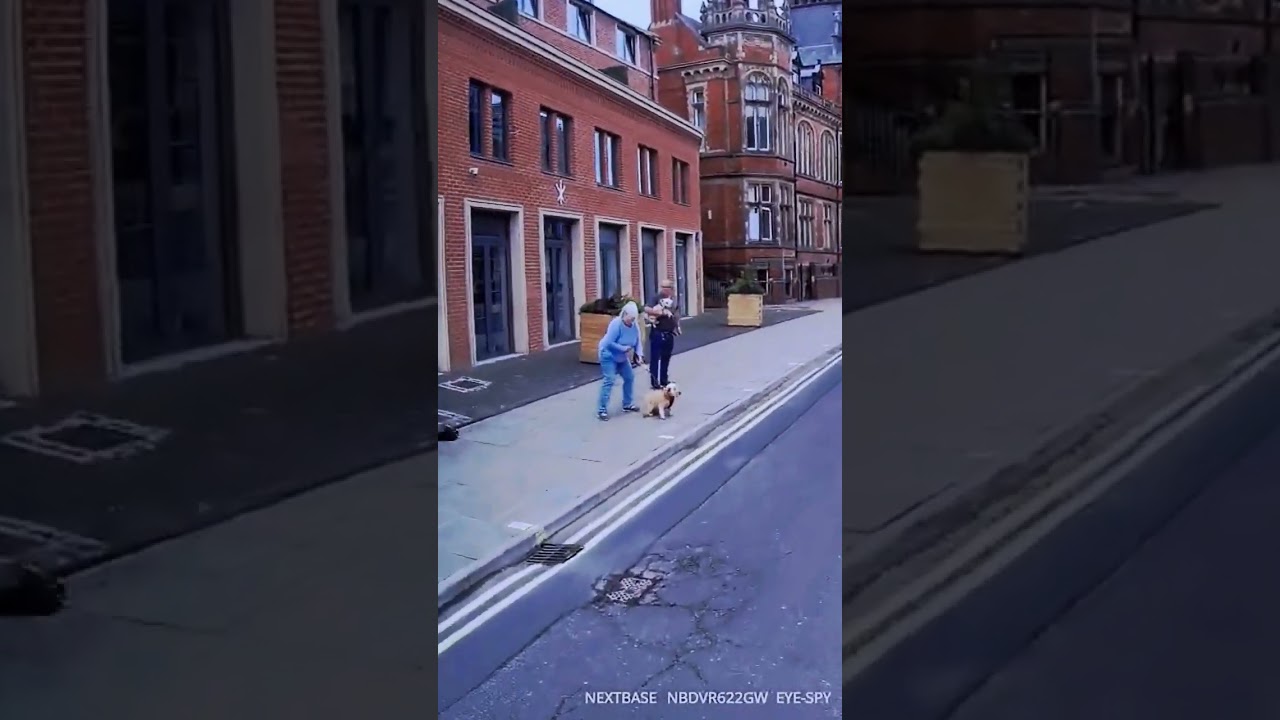 Goose attacks pet dog