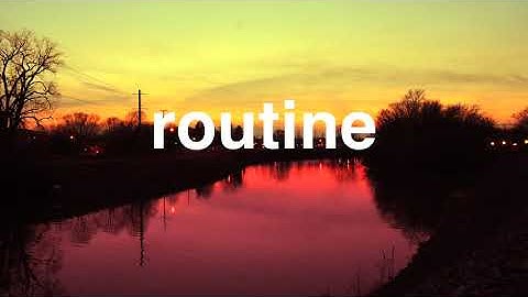 [routine] trees and lucy