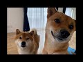 新居からだよこんにちは