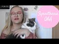 Synesthesia Q&amp;A
