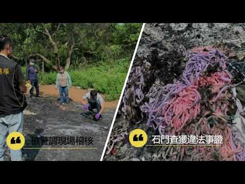 衛星影像結合環境監測智慧應用