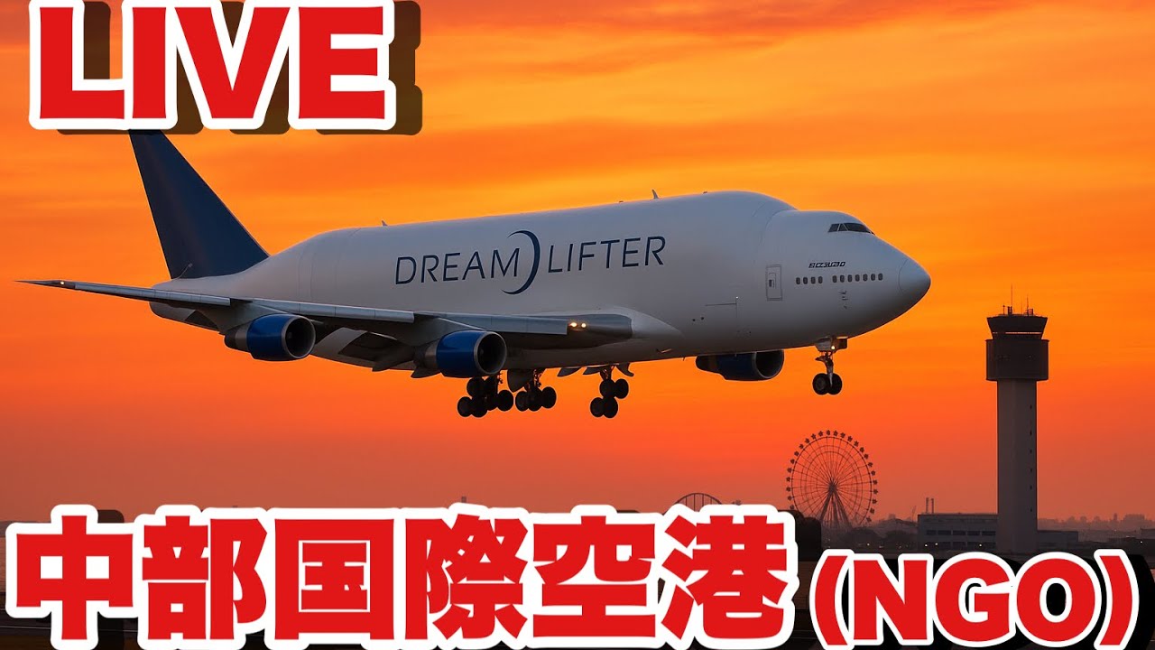 【中部国際空港 セントレア 】夕陽とドリームリフターとワタシ